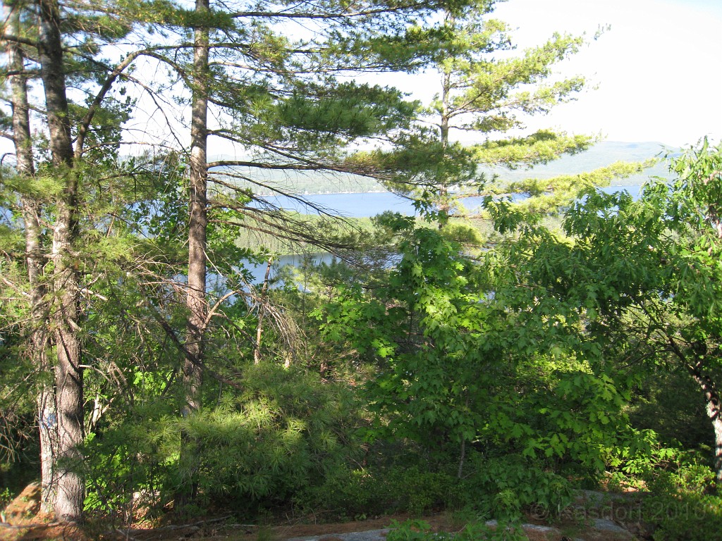 Elwell Trail NH 2010 095.jpg - The Elwell Trail North of Bristol NH, runs along Newfound Lake. The trail goes to Little and Big Sugarloaf mountains. Supposedly it also connects to Mt Cardigan. May 2010.
